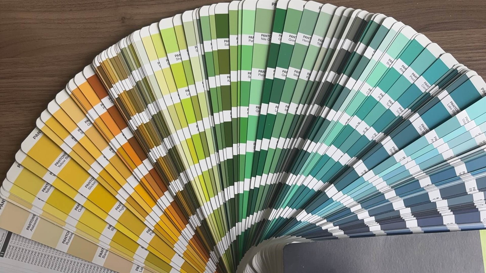 dopamine colours dopamine colours